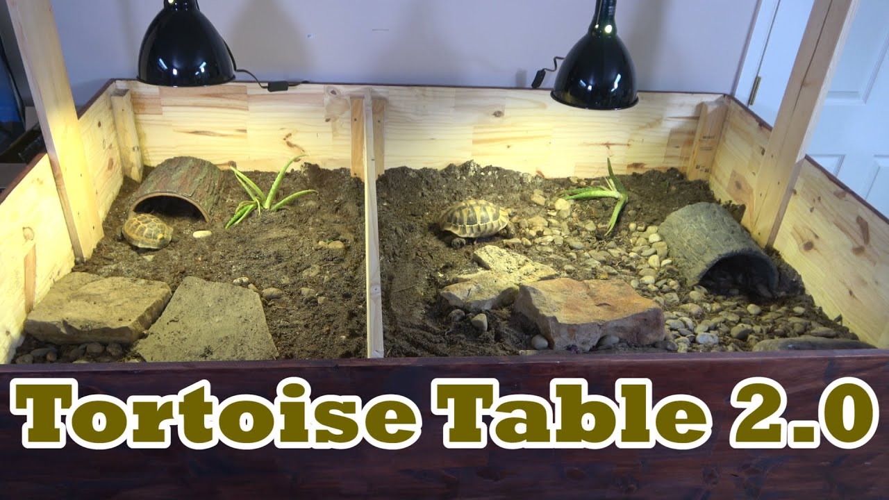 Tortoise Table 2.0
