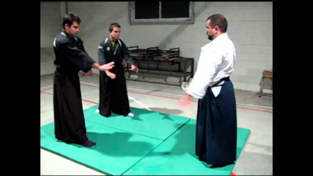 Ogawa Ryu Aikijujutsu Training VI