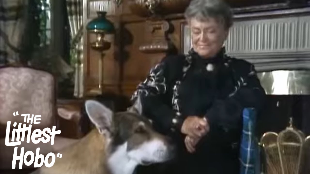 The Imaginative Invalid | The Littlest Hobo | Season 4 | Episode 4