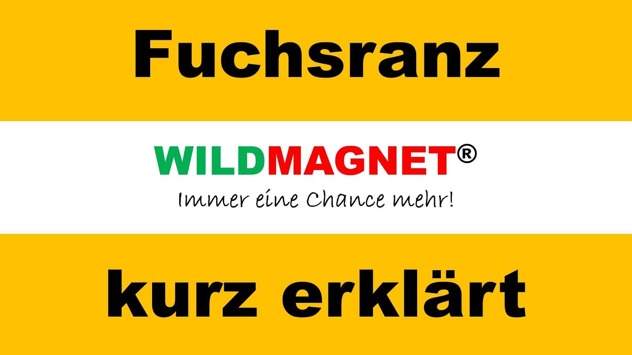 Spannende Fuchsranz