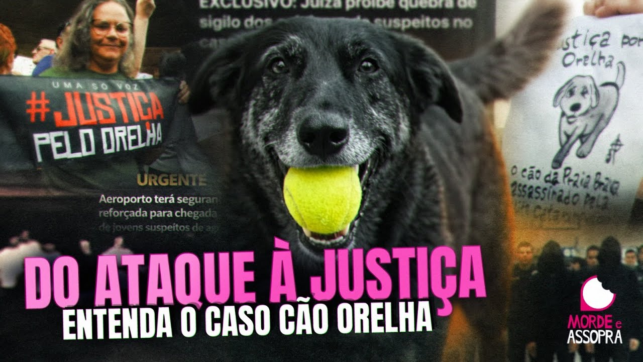 | MORDE E ASSOPRA | 02/02/2026