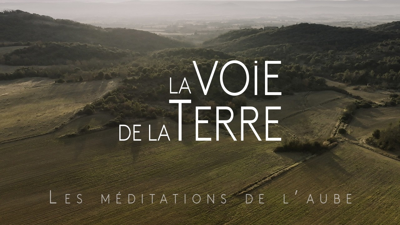 La voie de la Terre. Méditation Guidée. S’ancrer, s’éveiller, se reconnecter à sa lumière intérieure