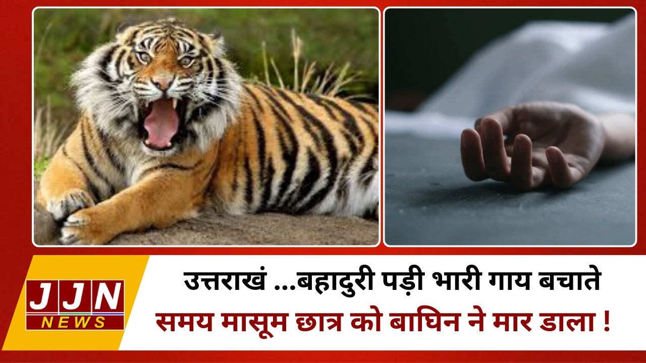 उत्तराखंड...बहादुरी पड़ी भारी गाय बचाते समय मासूम छात्र को बाघिन ने मार डाला !|| JJN News