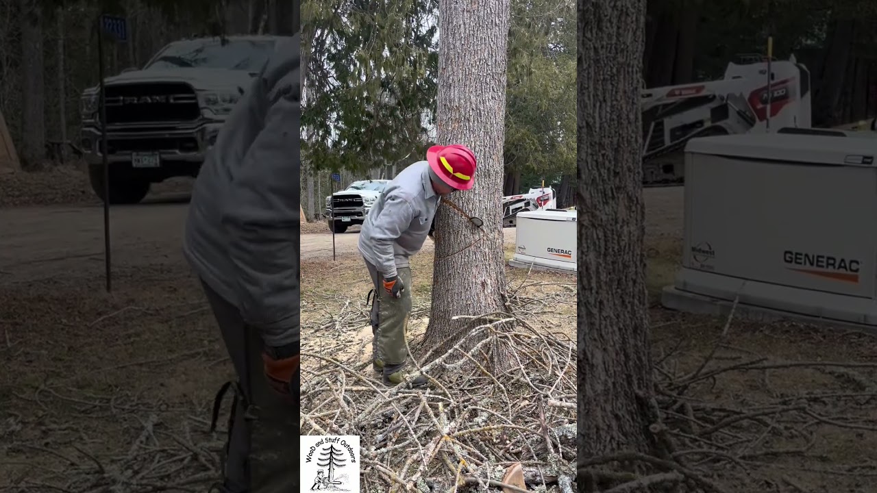 Want to see me hit the garage?!?  😱😭 #treeremoval #treeexperts #treework