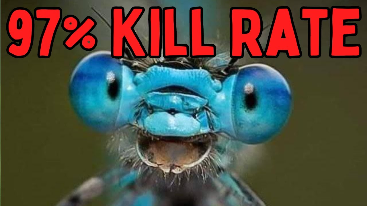 This Is Technically The Deadliest Predator On Earth
