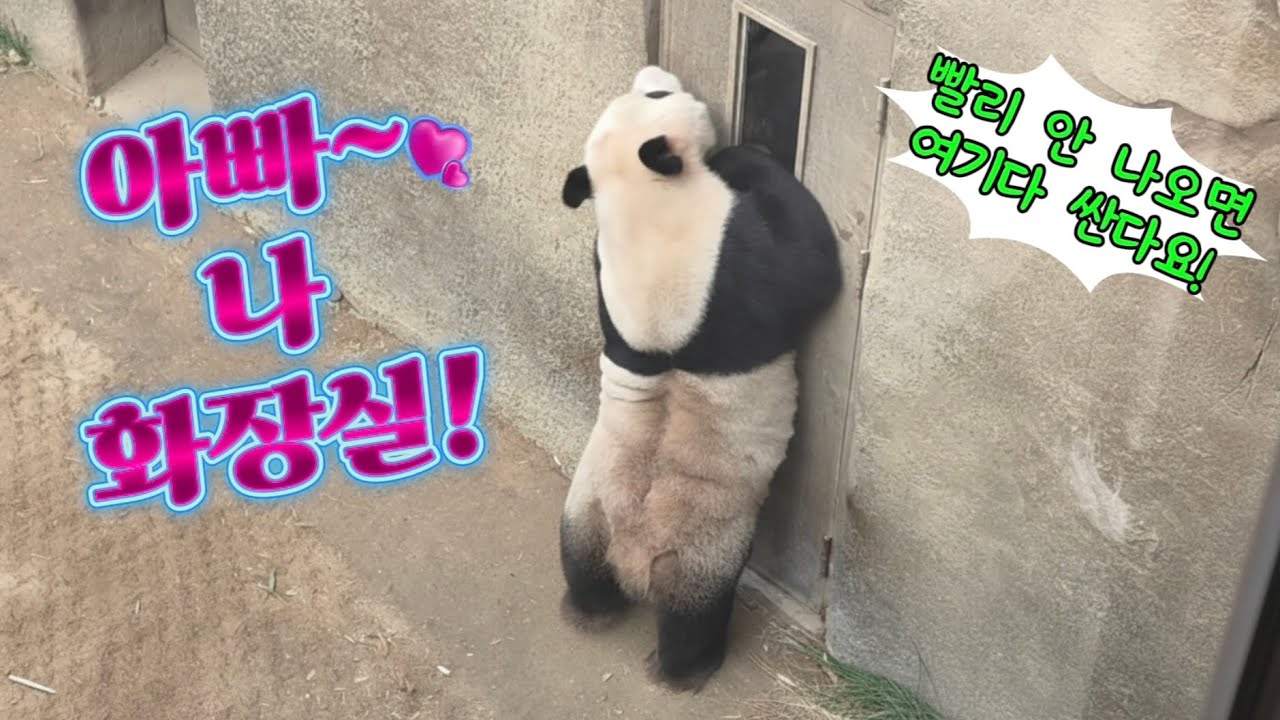 2026.02.20. 러바오의 하루