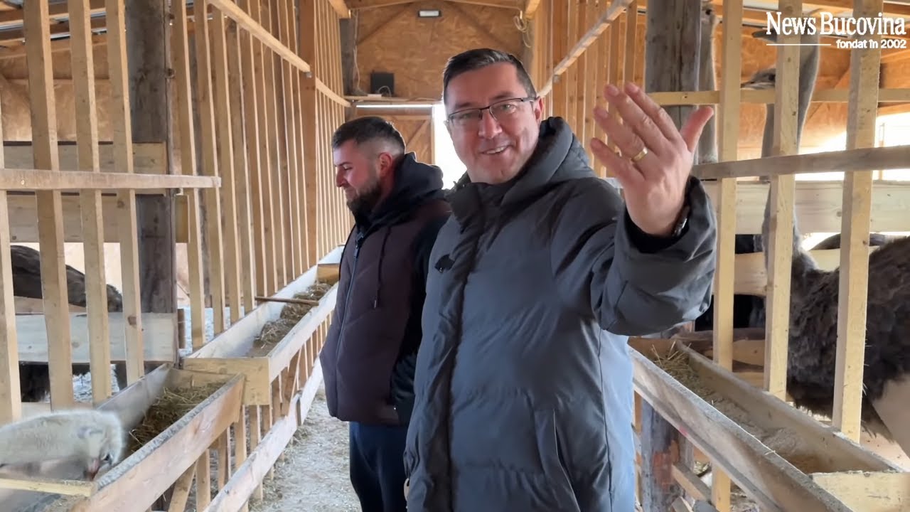 Banii JOS, ochii la ..gleznă - Cum crești STRUȚI la capătul Europei?