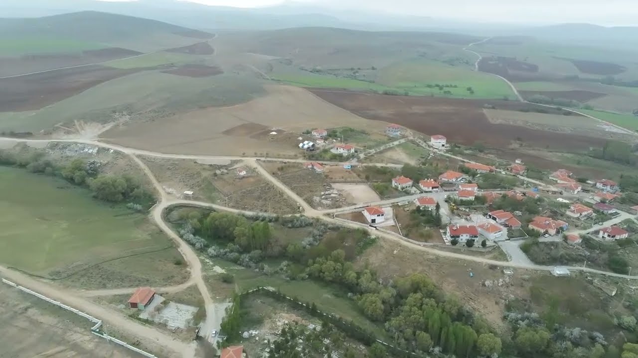 yaylak sarıyahşi