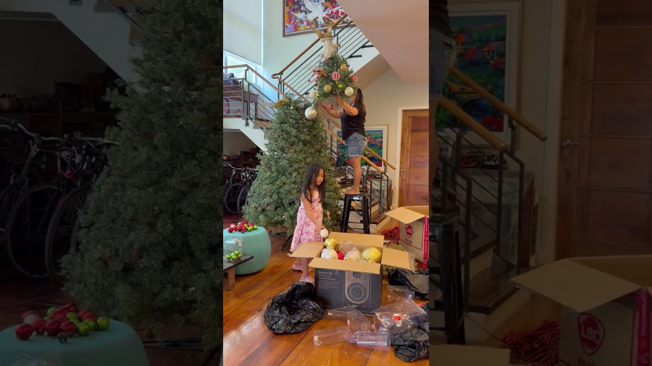 GUYS , NGAYON TAPOS NA ANG CHRISTMAS AND CHINESE NEW YEAR..KAILANGAN NA NATIN  MAGTANGAL NG CHRIST🎄