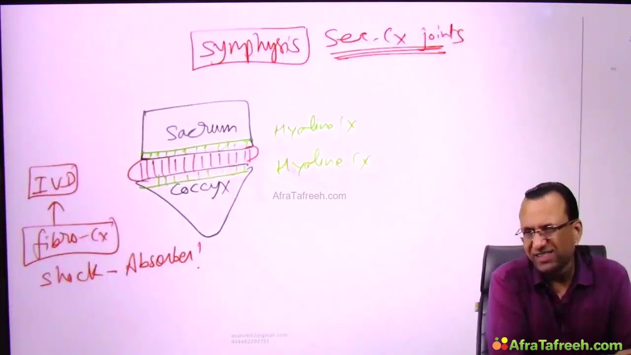 4  Osteology and Arthology 26 Arthology