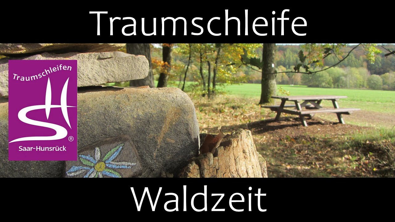 Neue Traumschleife Waldzeit | Wandern im Saarland | Premiumwandern | 66773 Hülzweiler/Schwalbach