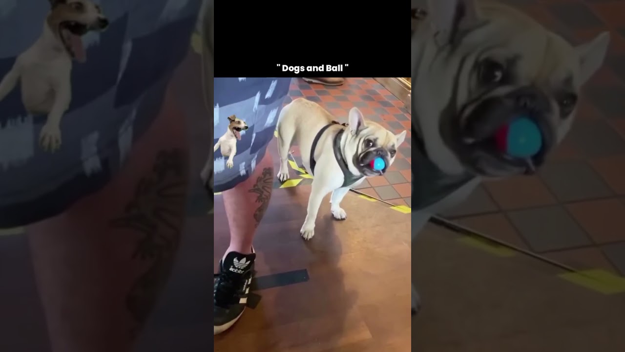In this video, it means that if we treat animals well, they will also help us. 