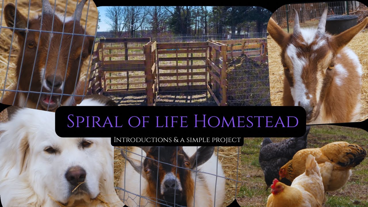 DIY Compost Project and Meet a Few of Our Fur and Feather Babies 