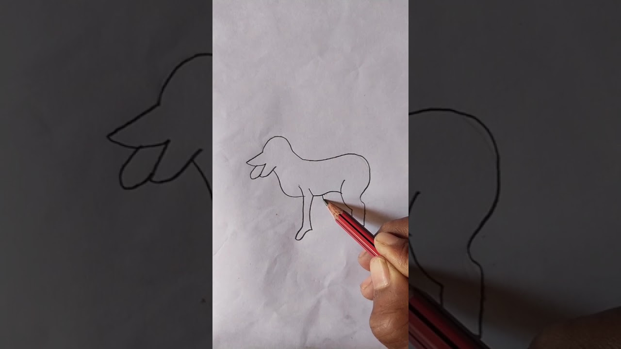 How to Draw a Dog 🐕 Drawing ll Easy step by step #art #easydrawing #youtubevideos 