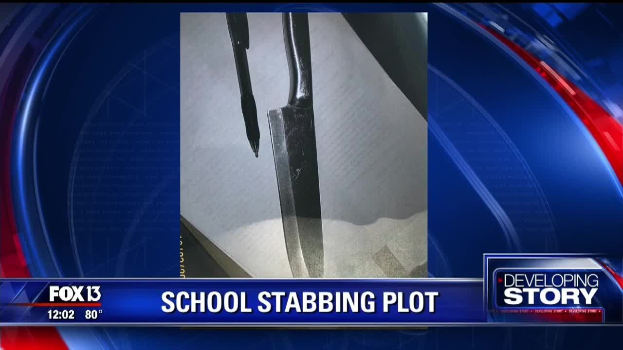 Bartow PD: Girls planned to attack and kill at least 15 students