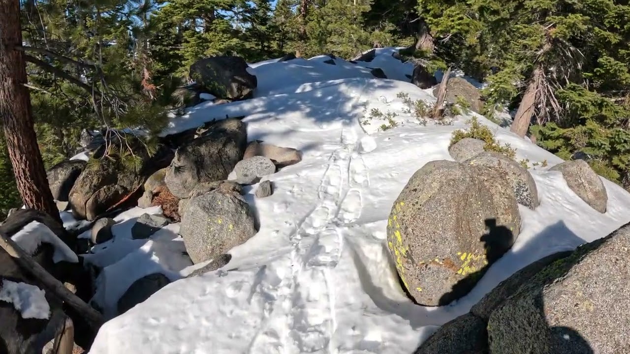 Tahoe January 2026