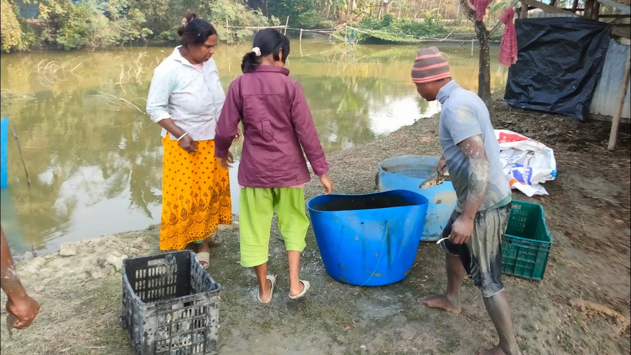 Village Life and Fishing  is live!
