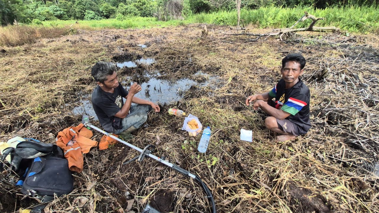 PROSES PEMBERSIHAN 100% LAHAN WANI RANTAU UNTUK TANAM PADI DUKUNG PROGRAM KETAHANAN PANGAN INDONESIA