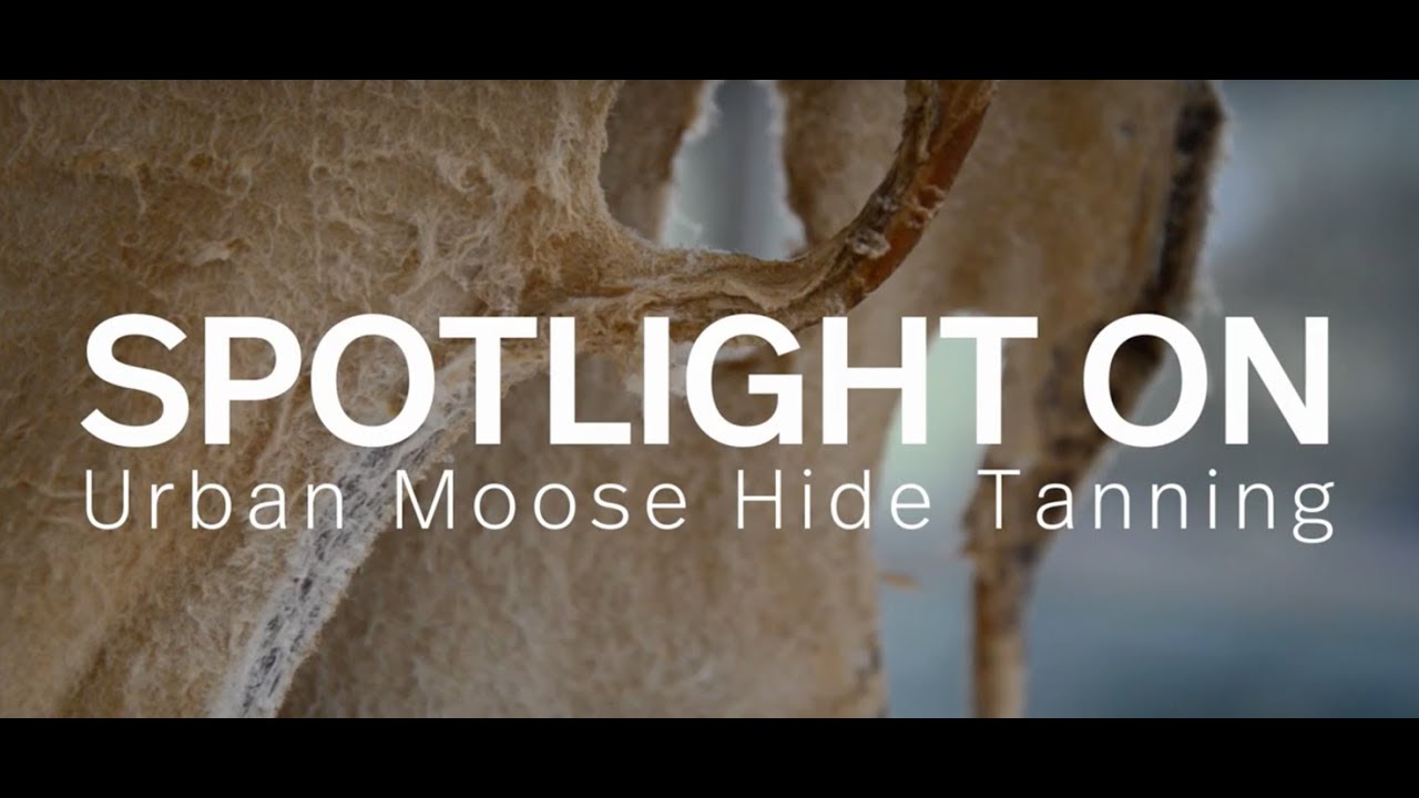 Indigenous Artists Create an Urban Moose Hide Tanning Camp