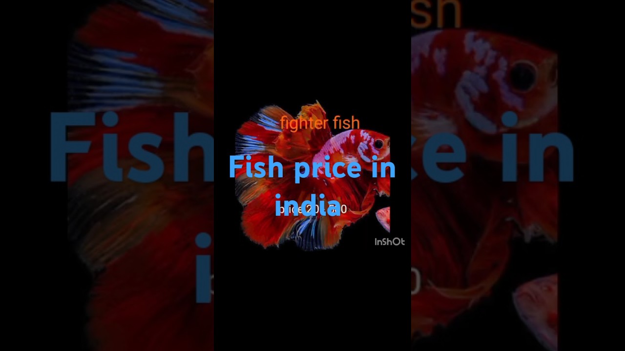 Fish price in india . Part 2 