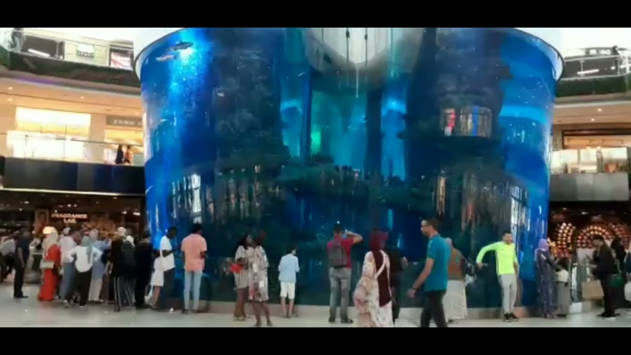 يا مرسول لغرام أغنية مسلسل دار الضمانة بدون حقوق طبع ونشر مع صور حوض الأسماك ب موروكومول