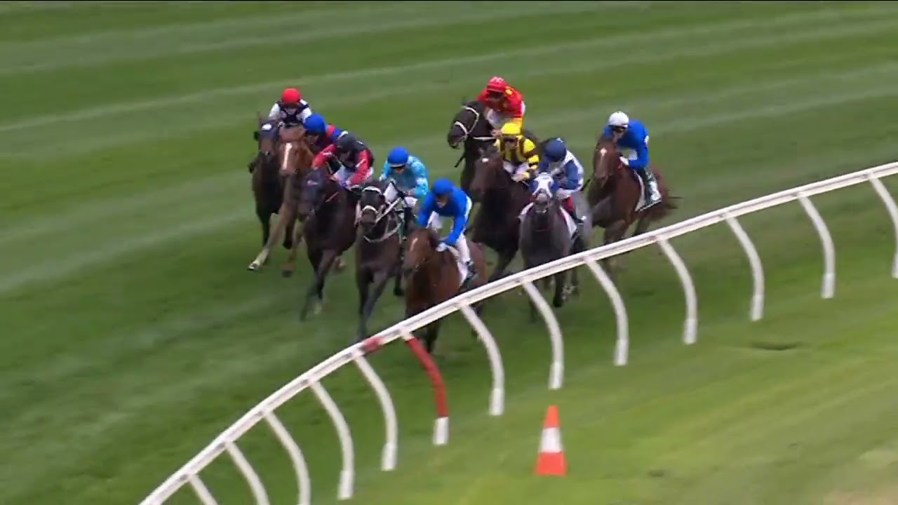 Ваза Moonee Valley 2025 &mdash; OBSERVER (3 года, SW G2), группа 2, Moonee Valley, 25 октября
