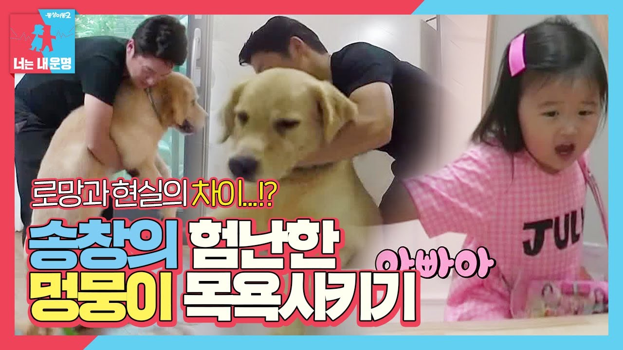 송창의, 험난한 멍뭉이 목욕시키기 (ft. 하율이 귀욤)ㅣ동상이몽2 - 너는 내 운명(Dong Sang 2)ㅣSBS ENTER.