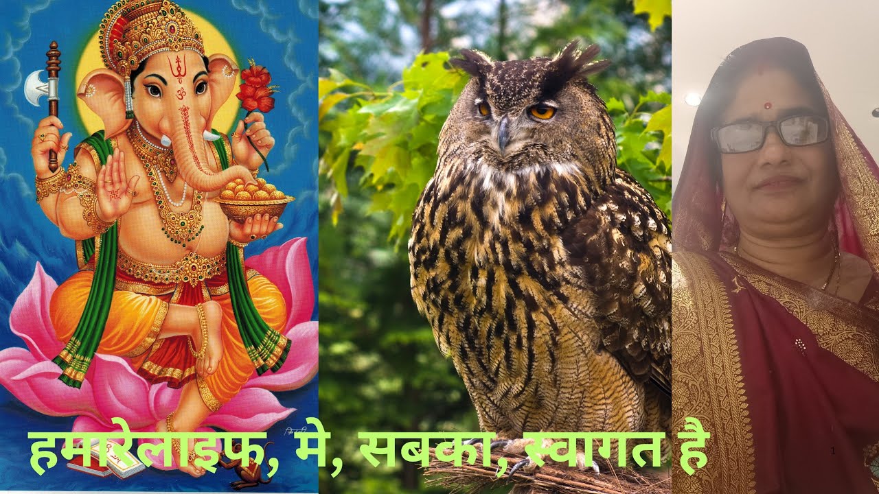 Nidhivan183 is live हमारे लाइफ में सबका स्वागत है