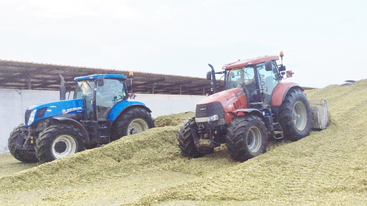 New Holland T7.250 AutoCommand + Case Puma 230 on Silage trench