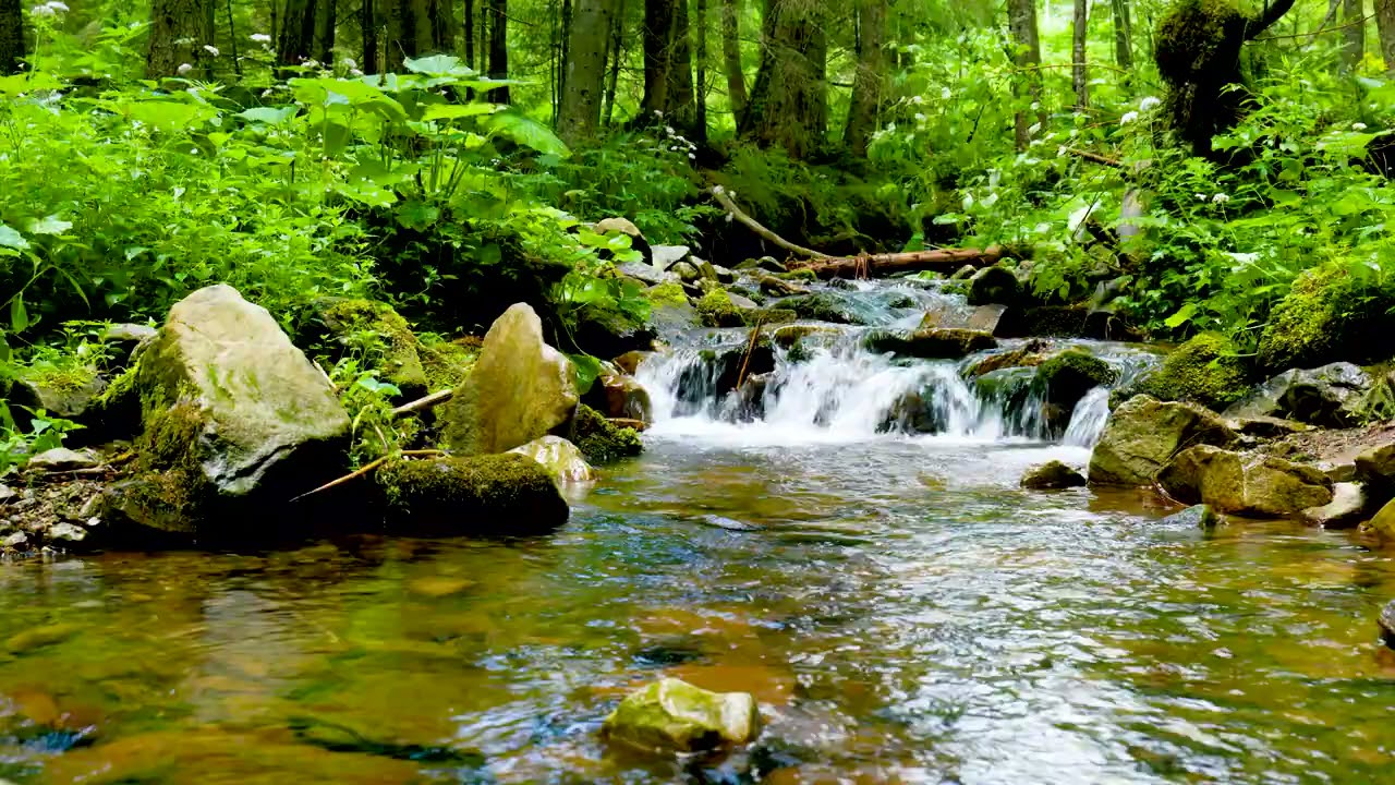 Ukraine Mountain Stream, Water flowing Sound 4k. Forest Stream Sounds/ Sleep & Relaxation 10 hours.