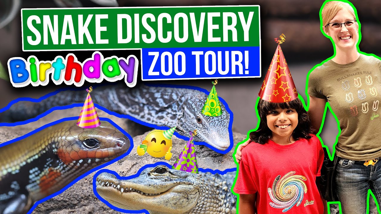 SNAKE DISCOVERY ZOO SURPRISES! - Ally's WHAT???,  NEW Reptiles, Rex WINKS???