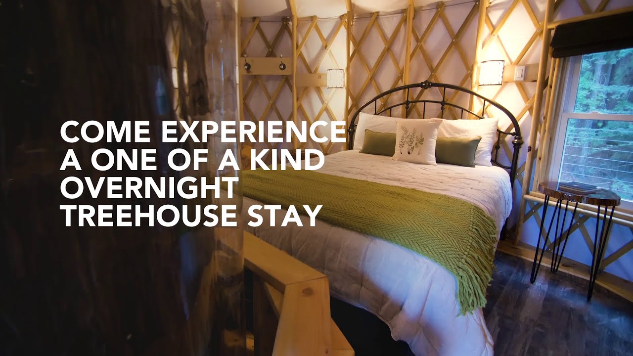 Introducing: Sonoma Treehouse Adventures