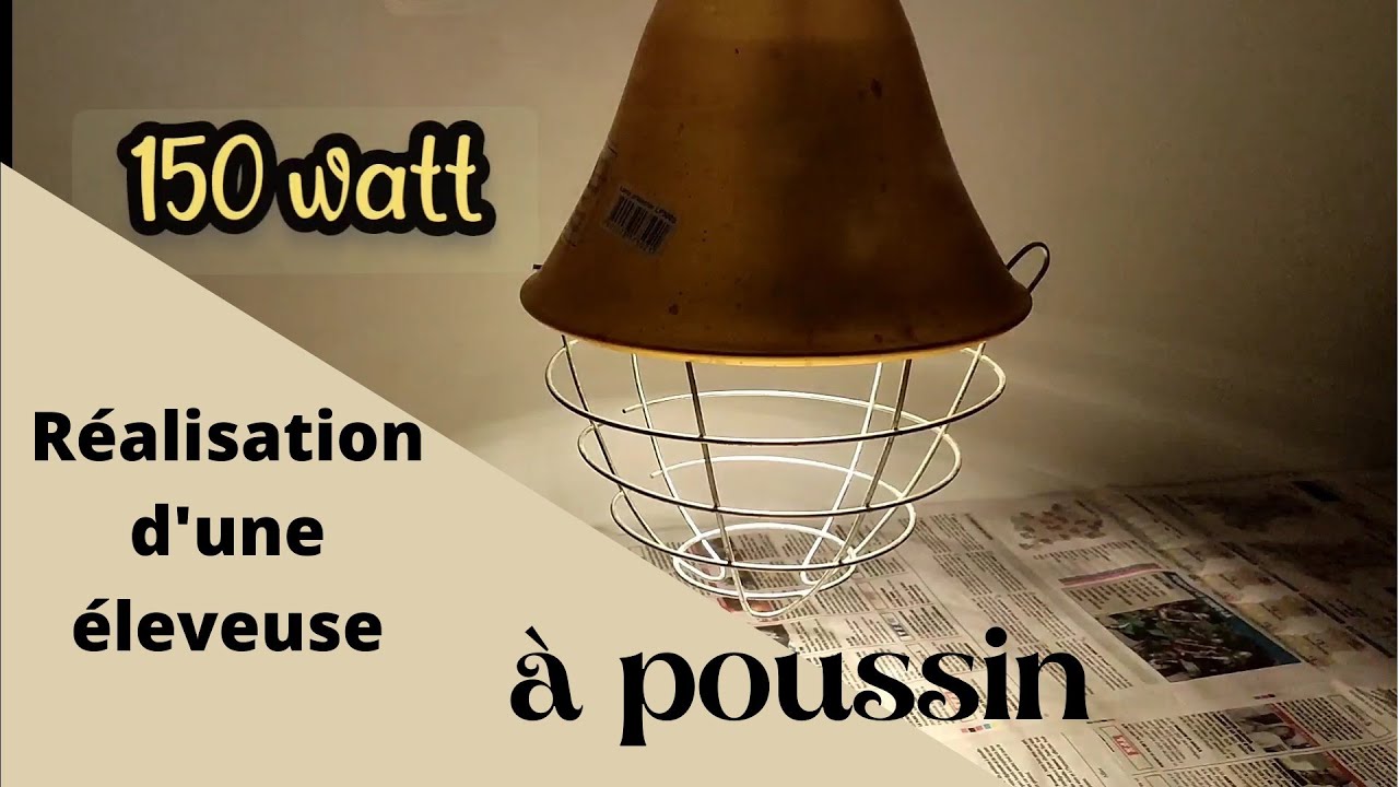 Fabrication d'une éleveuse à poussin et que c'est il passé avec la couveuse 😭