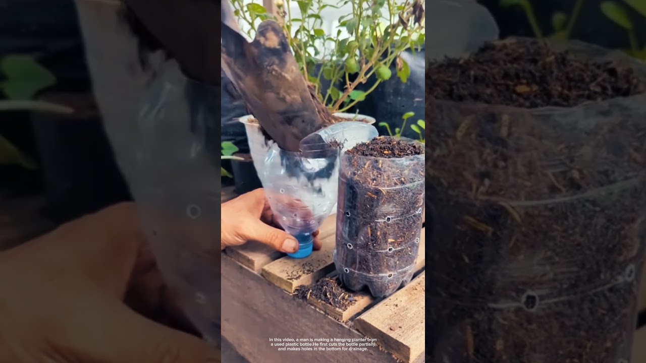 DIY Hanging Planter from a Plastic Bottle