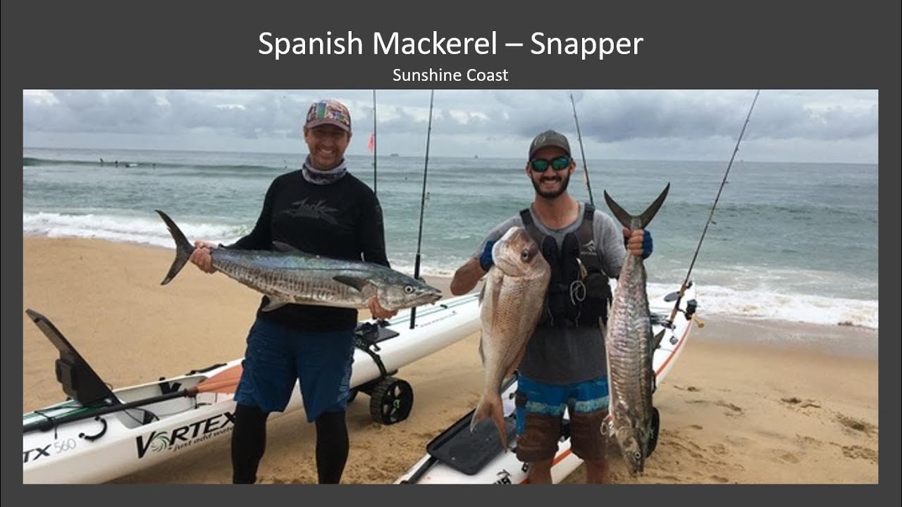 Spanish Mackerel & Snapper - Kayak Fishing Sunshine Coast