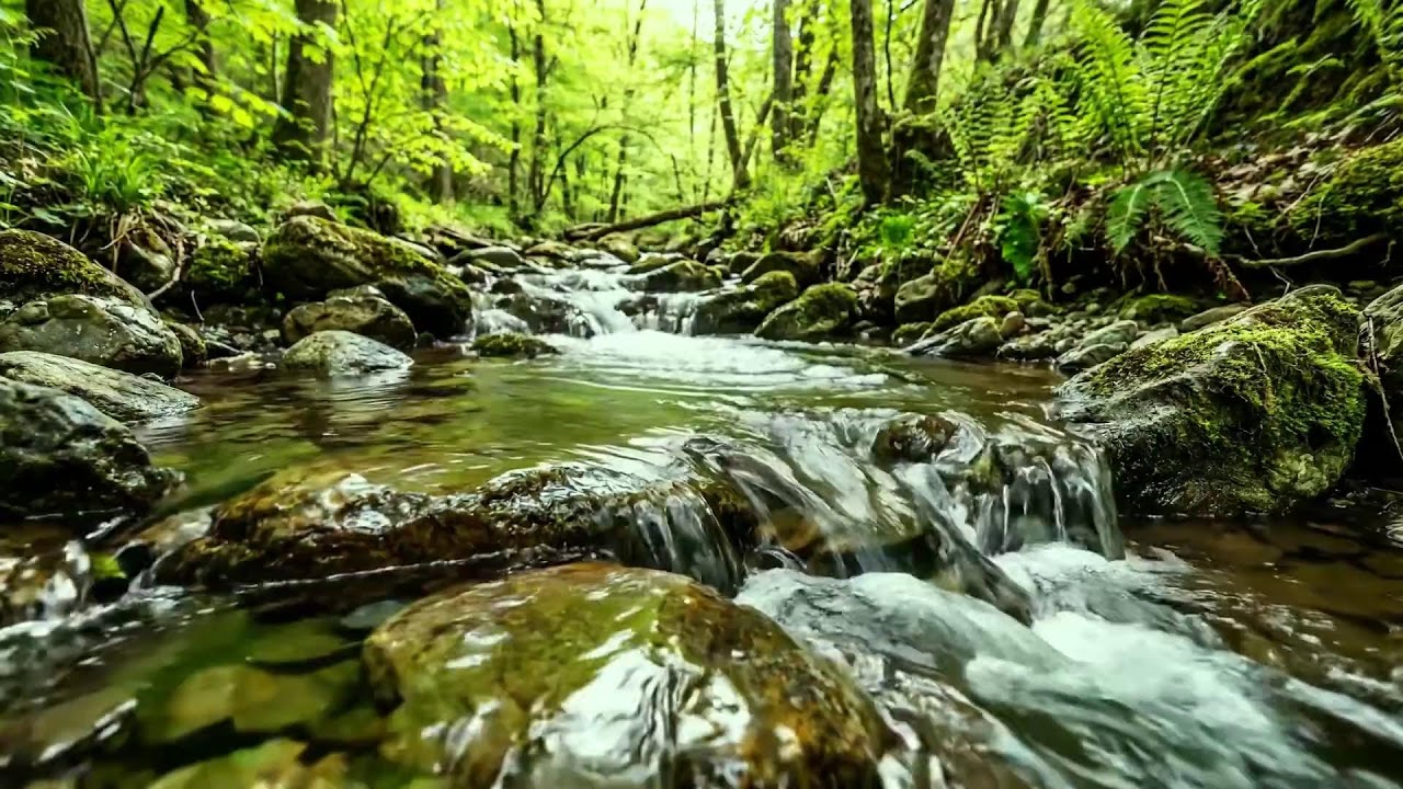 Nature Sounds for Sleep, Flowing Water and Birds Singing, Relaxing White Noise in Forest