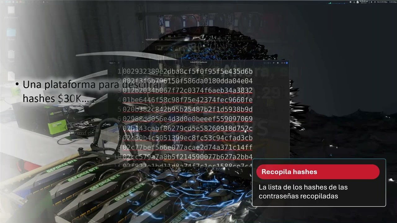 Transforma la gestión de Aplicaciones con Radware: protección y rendimiento garantizados