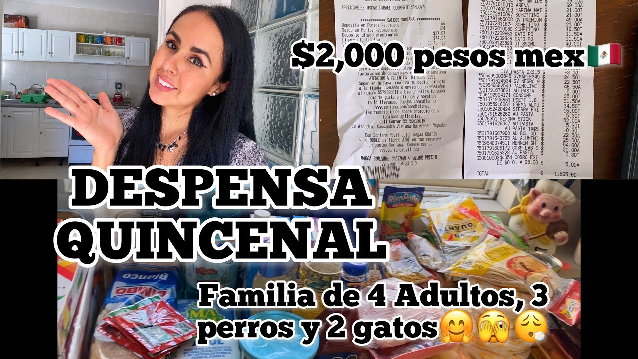 Despensa Quincenal para familia de 4 Adultos , #gastosemanal #monedero #super #compras #presupuesto