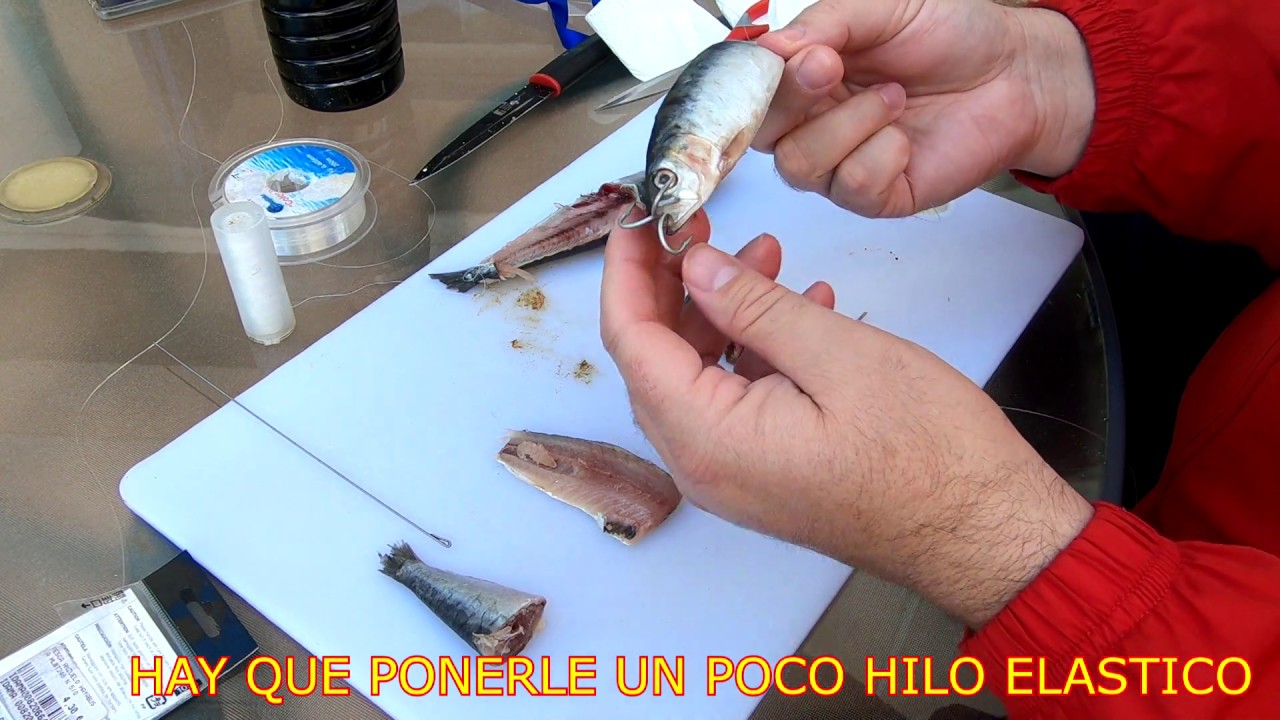 PESCA SURFCASTING FORMAS ANZUELAR SARDINA Y ACEITE DE ENGODO
