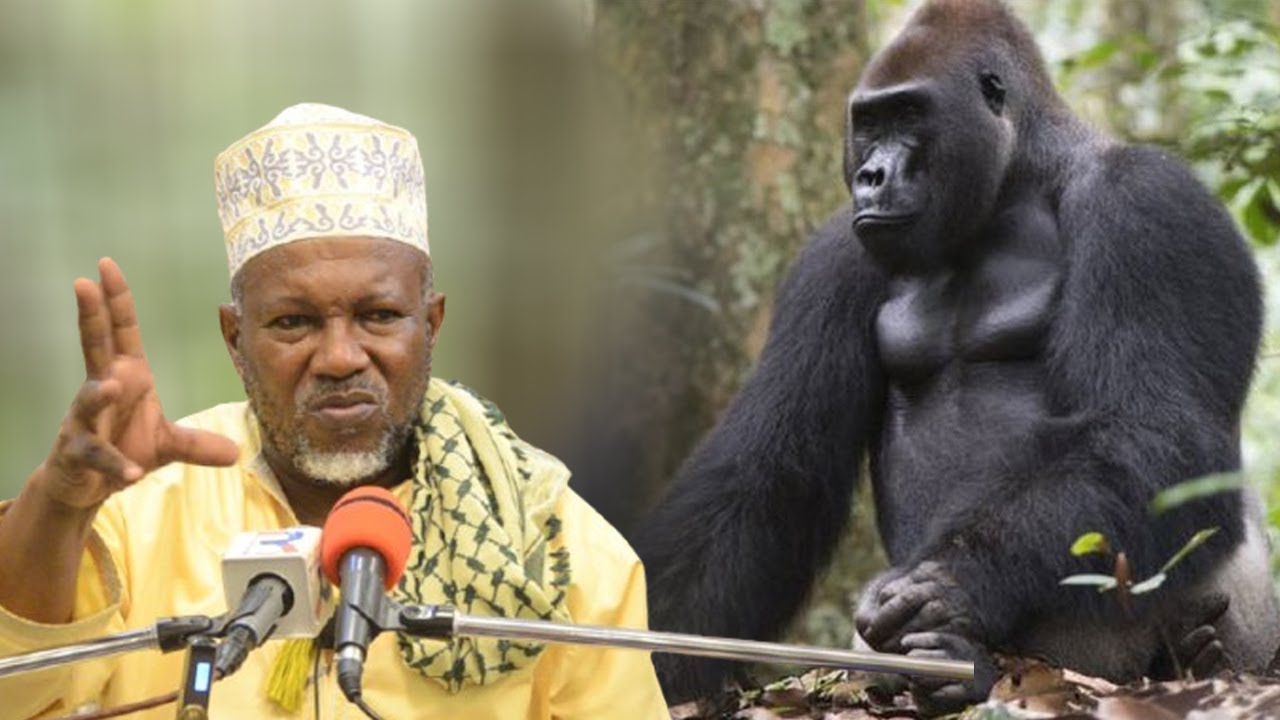 CHANZO CHA MTU WA KW3ANZA JE KWELI AMETOKANA NA SOKWE WANASAYANSI WASILIMU | SHEIKH SLEIMAN ABBAS