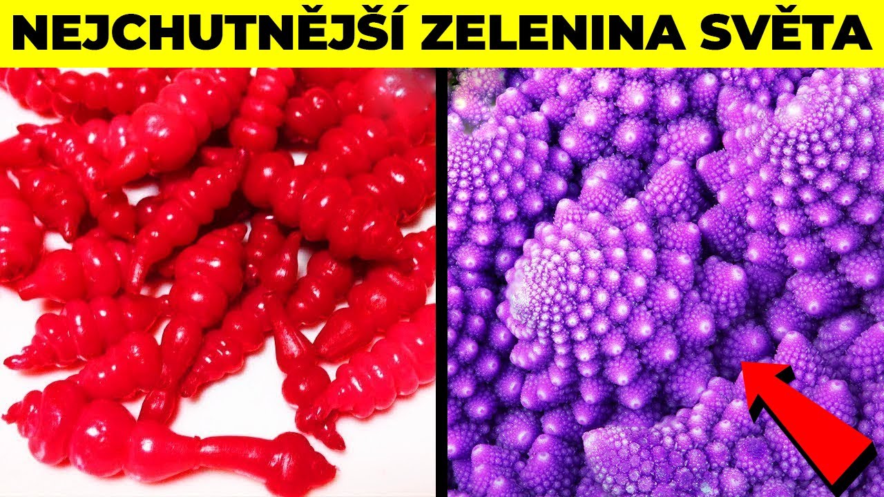 TOP 5 Neobvykl&eacute; Druhy Zeleniny, Kter&eacute; Uvid&iacute;&scaron; Poprv&eacute; V Životě