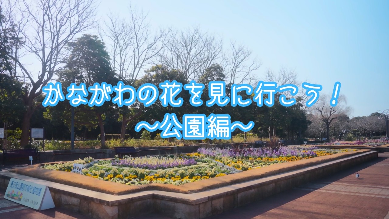 かながわの花を見に行こう！～公園編～