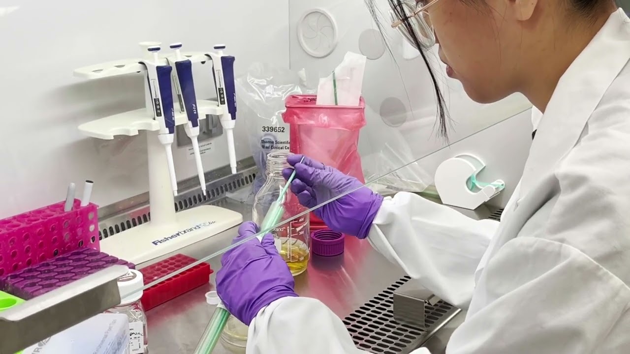 Plasmid DNA Amplification and Isolation | Day 2: Growing a Liquid Culture
