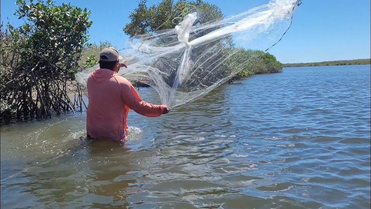 Pesca de camar&oacute;n con atarraya Encontramos mucho en este lugar 