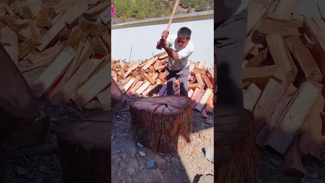 splitting large wood log using sharp axe