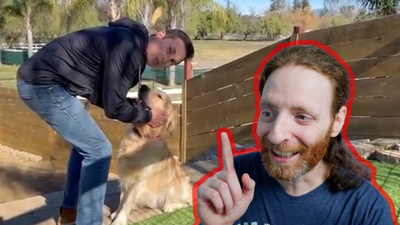 Why Does a Dog Think Beckman's Dog Training is a JOKE