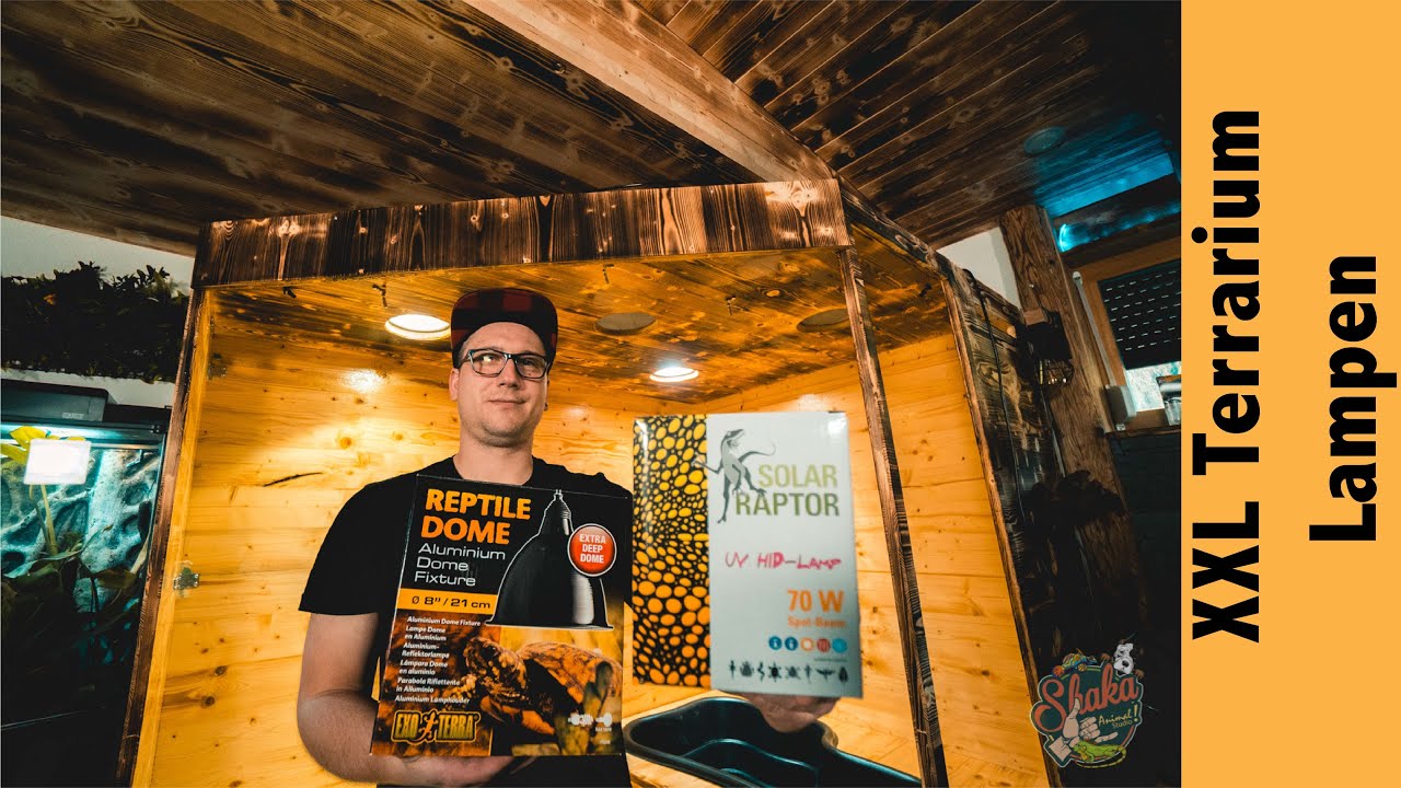 Beleuchtung  XXL Terrarium  Regenwald Terrarium Leguan Solar Raptor Lampen UV HID Lampen