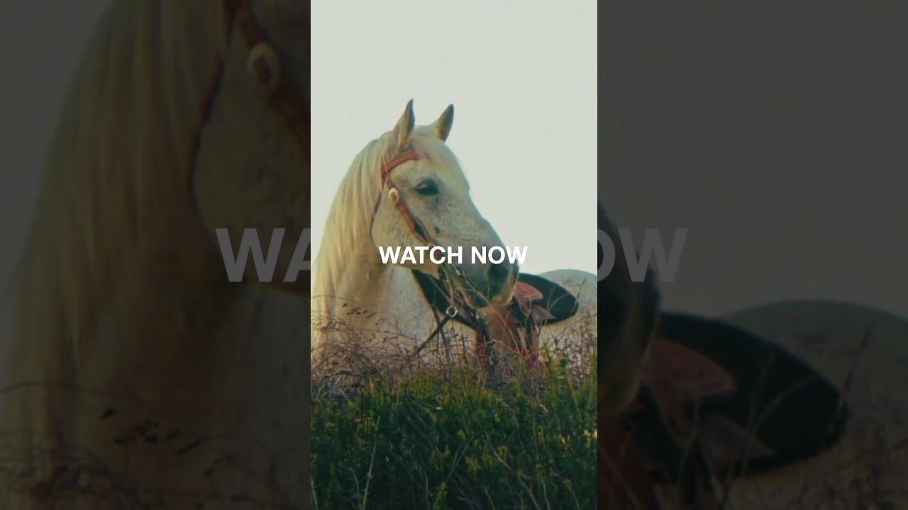 Poison The Well - Thoroughbreds