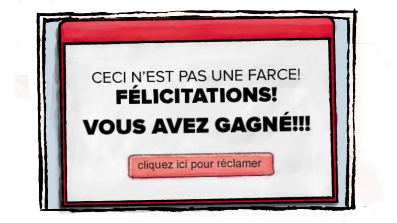 Le petit livre noir de la fraude : Fraudes sur Internet
