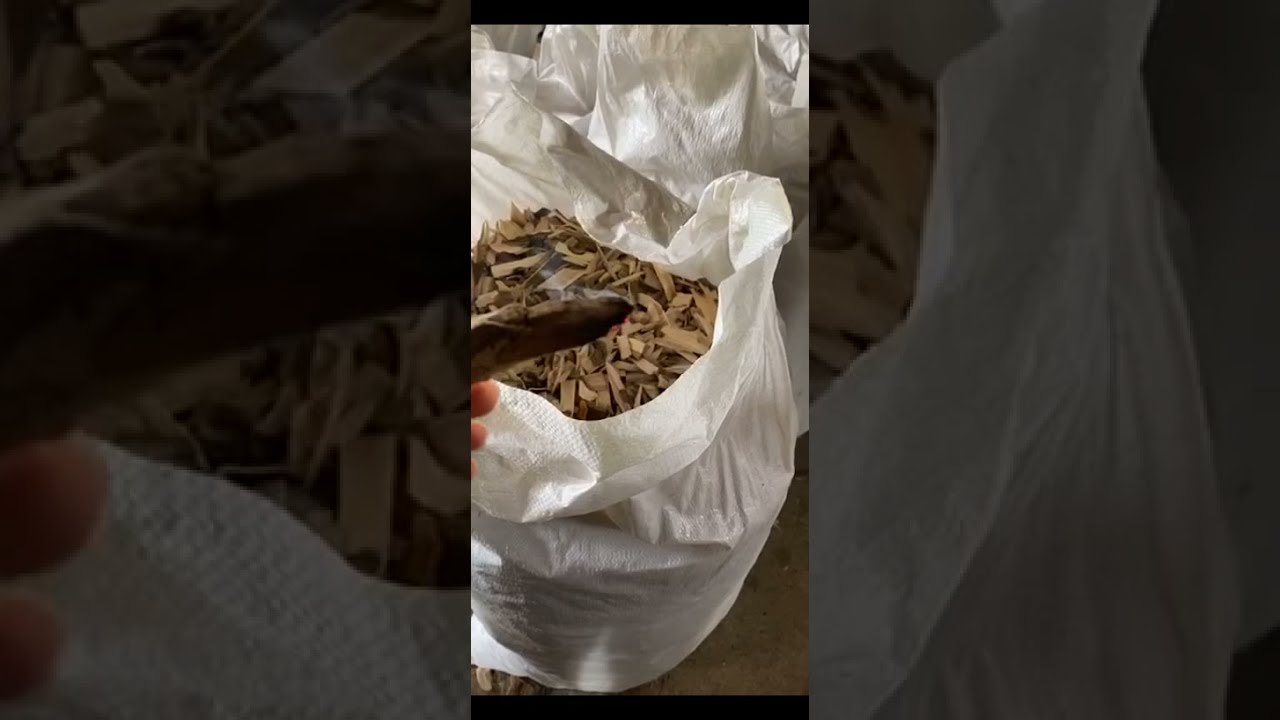 #رياحين_العود زيارة مصانع العود في منطقة جنتابوري في تايلند